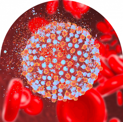 Hepatitis C